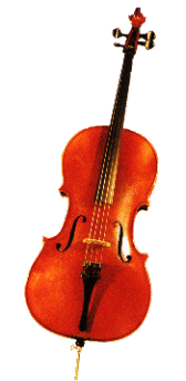 violoncello archi violino contrabbasso